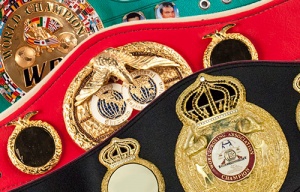 WBC, WBA и IBF: в дивизионах должен быть один чемпион мира