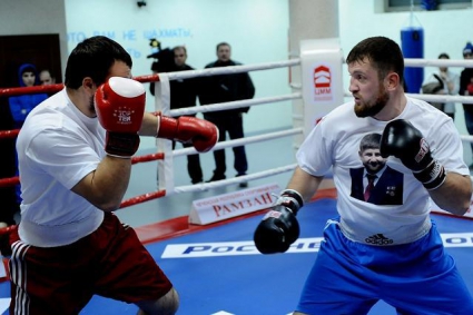 Состав пар боксеров на турнире по профессиональному боксу в Краснодаре 24 апреля