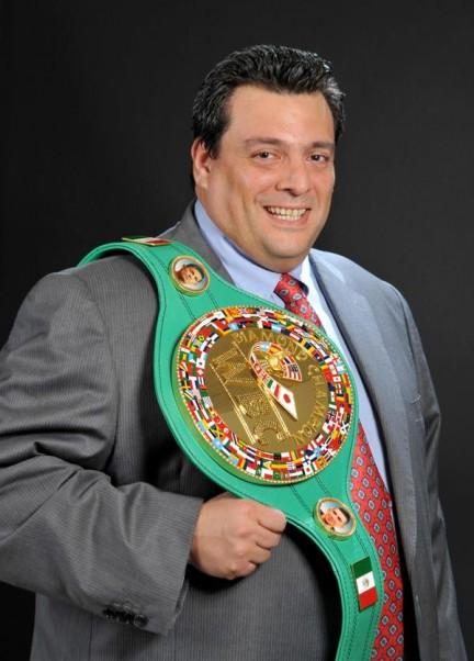WBC рассмотрит возможность создания новой весовой категории