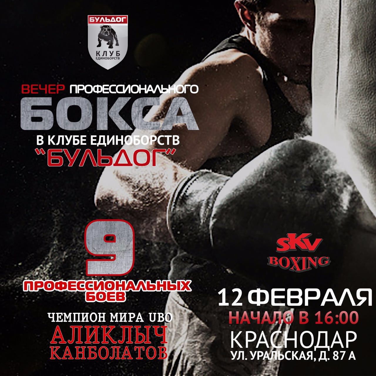 Рейтинговые бои в Краснодаре